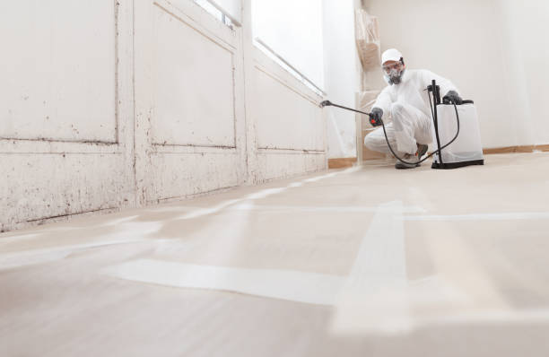 24/7 Emergency Mold Remediation experts in Haslett, MI