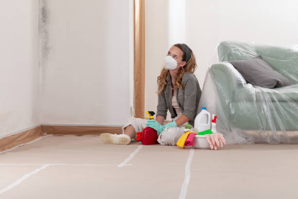Reliable Mold Remediation contractor in Haslett, MI by Mold Remediation HQ
